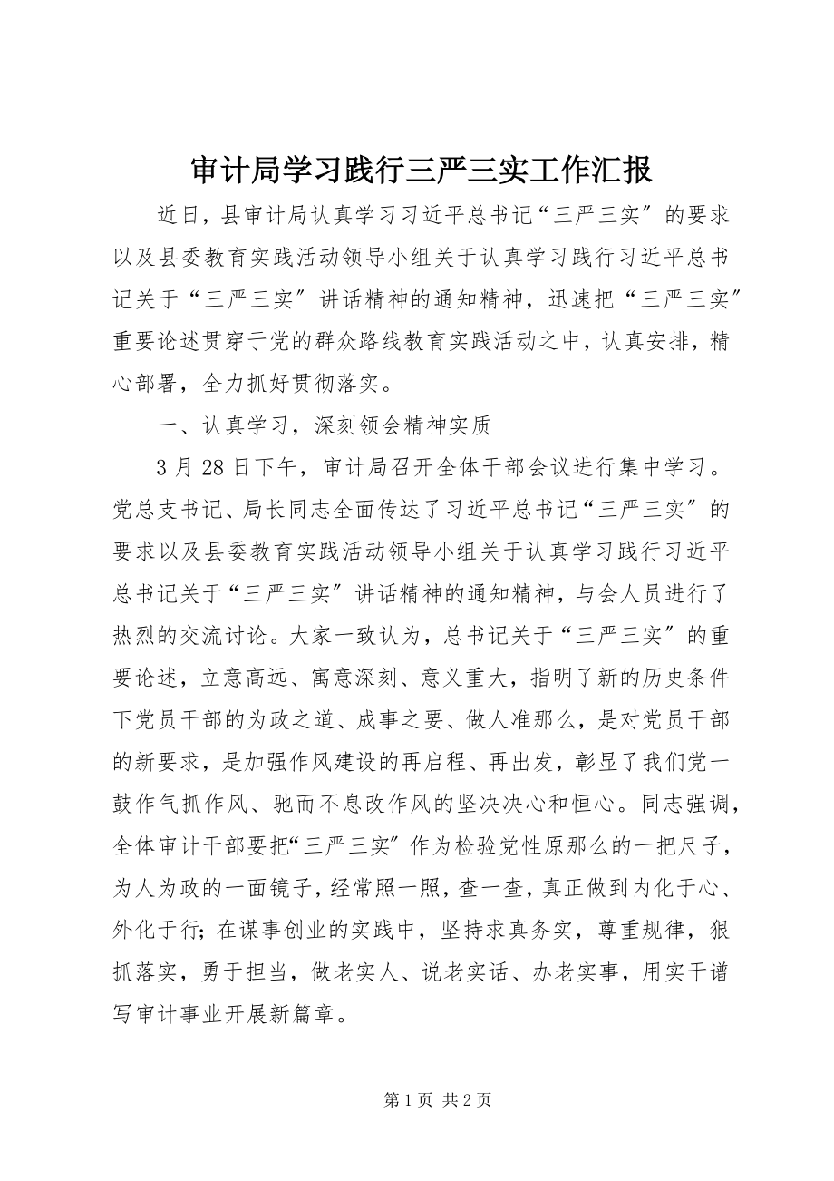 2023年审计局学习践行三严三实工作汇报.docx_第1页