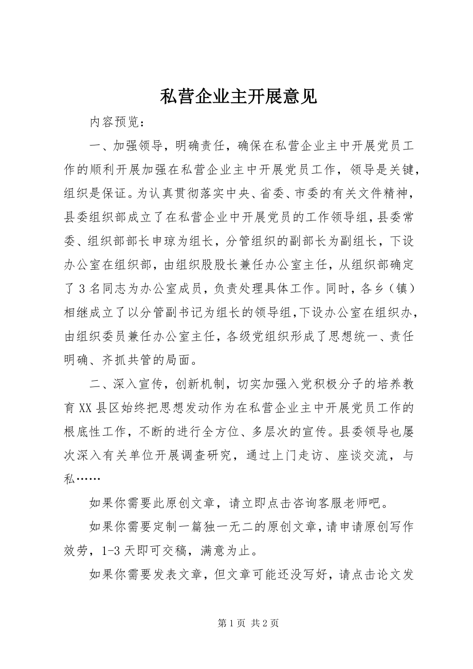 2023年私营企业主发展意见.docx_第1页