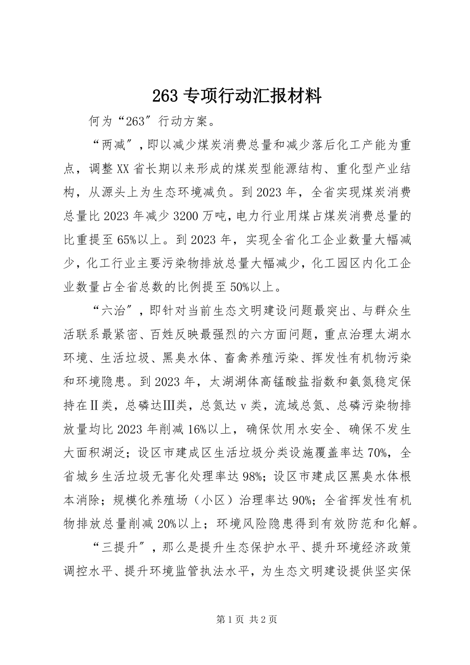 2023年专项行动汇报材料.docx_第1页