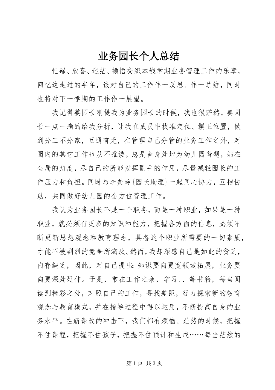 2023年业务园长个人总结.docx_第1页