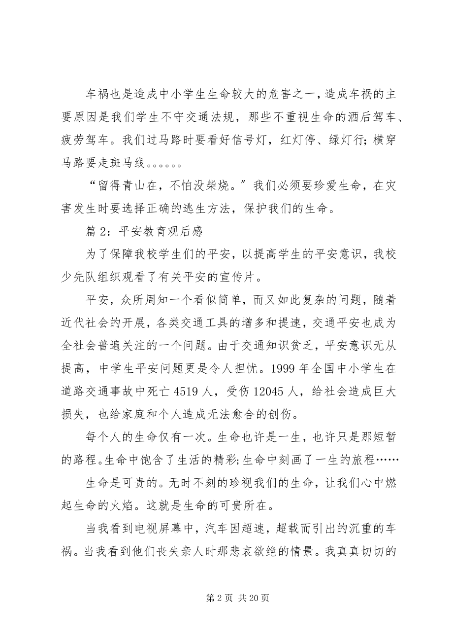 2023年安全教育观后感优选5篇新编.docx_第2页