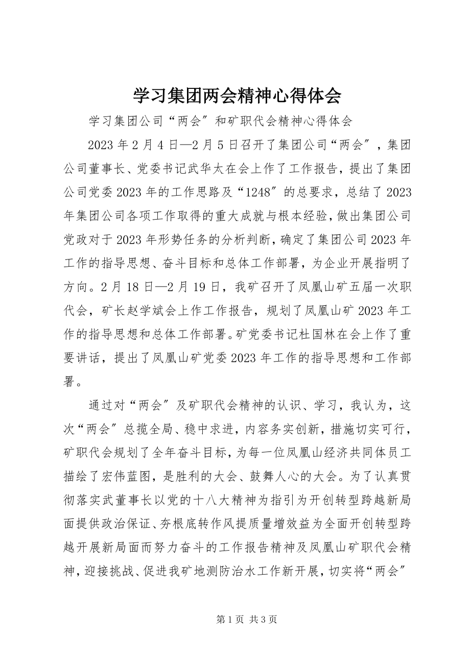 2023年学习集团两会精神心得体会.docx_第1页