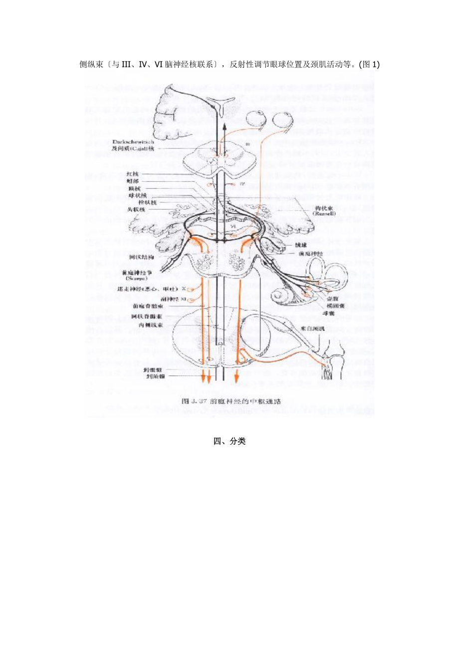 2023年眼震对于诊断眩晕疾病的作用.doc_第3页