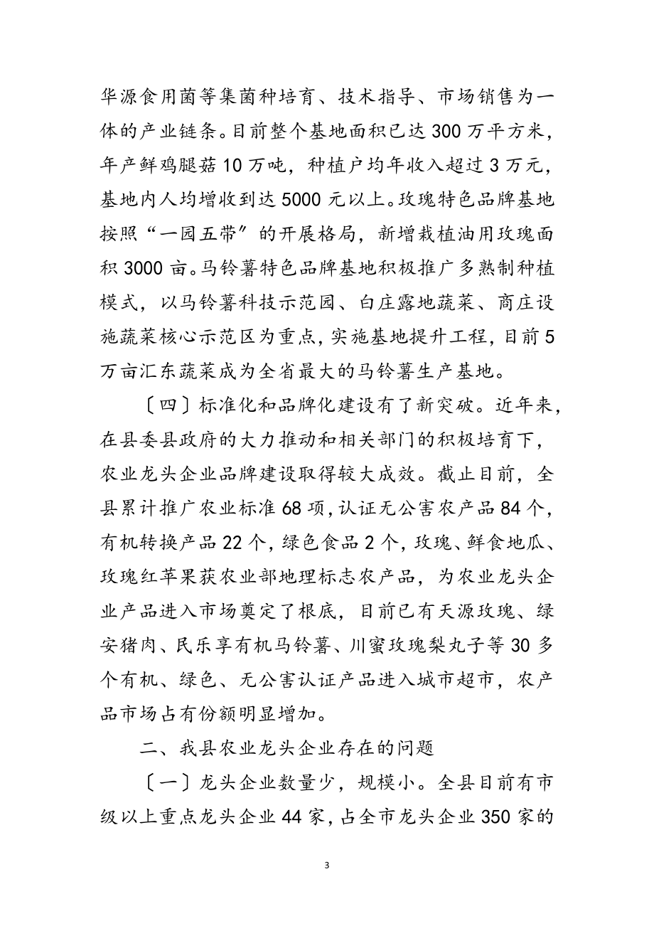 2023年龙头企业发展现状调查汇报范文.doc_第3页