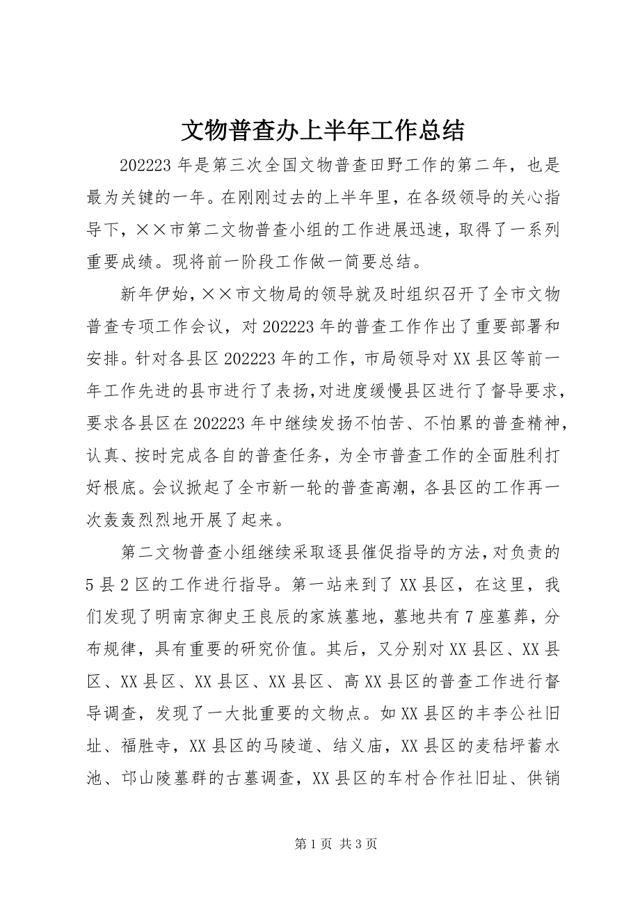 2023年文物普查办上半年工作总结.docx_第1页