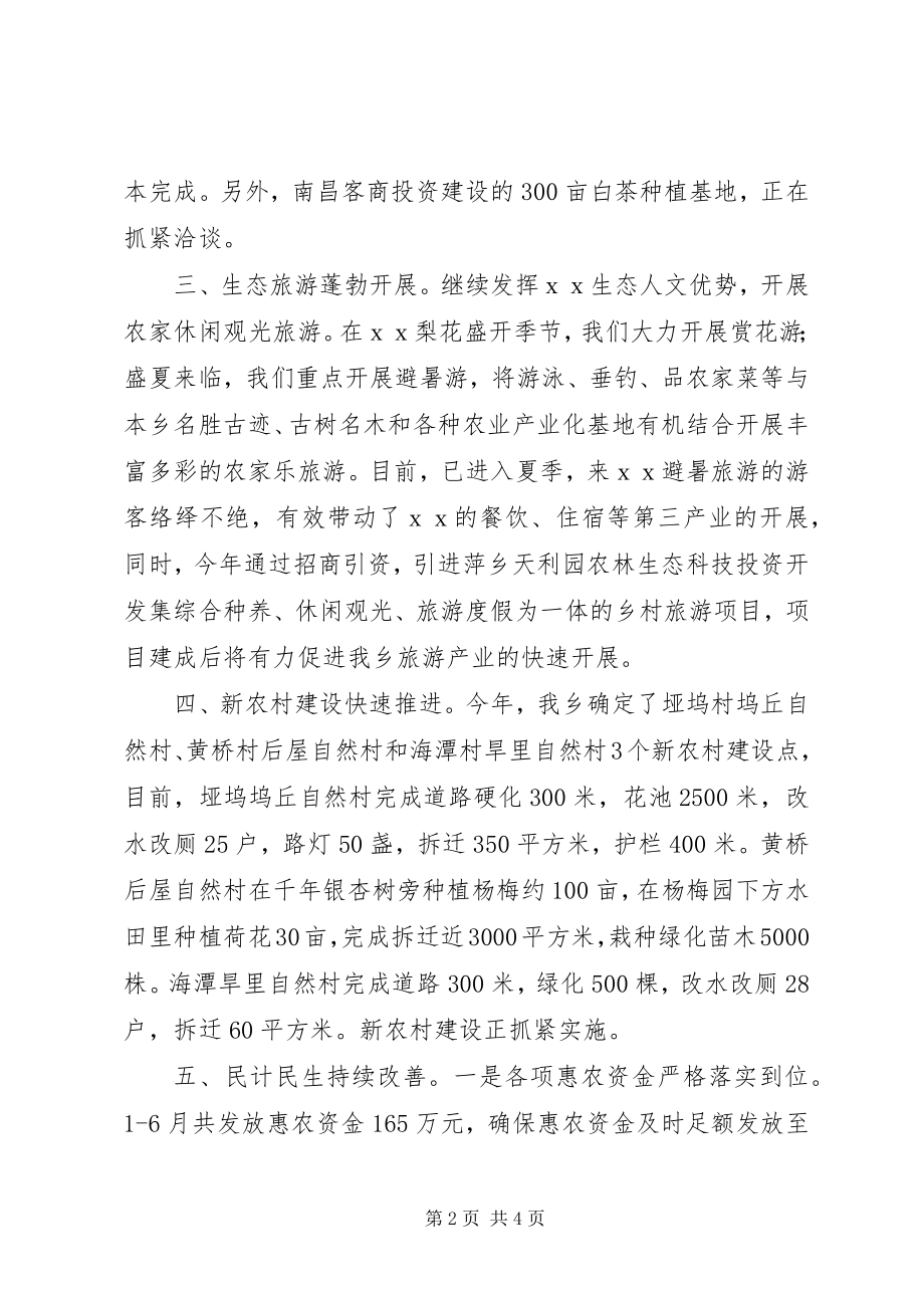 2023年乡镇半年工作总结.docx_第2页