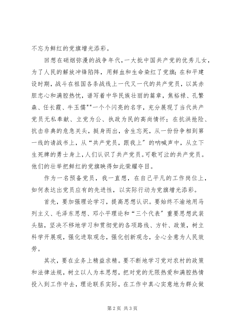 2023年一个党员一面旗我为党旗添光彩2.docx_第2页