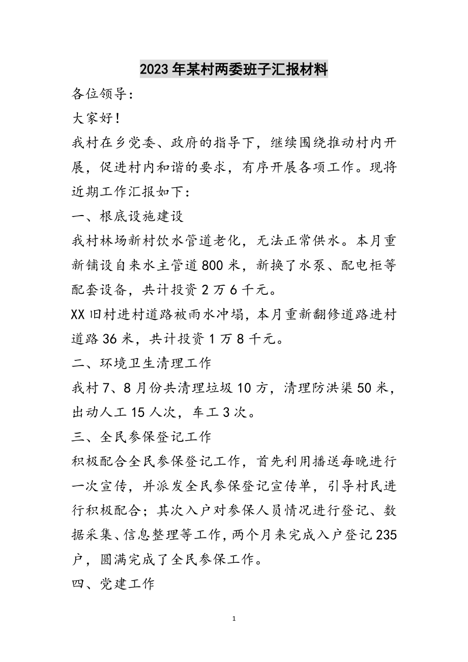 2023年年某村两委班子汇报材料范文.doc_第1页