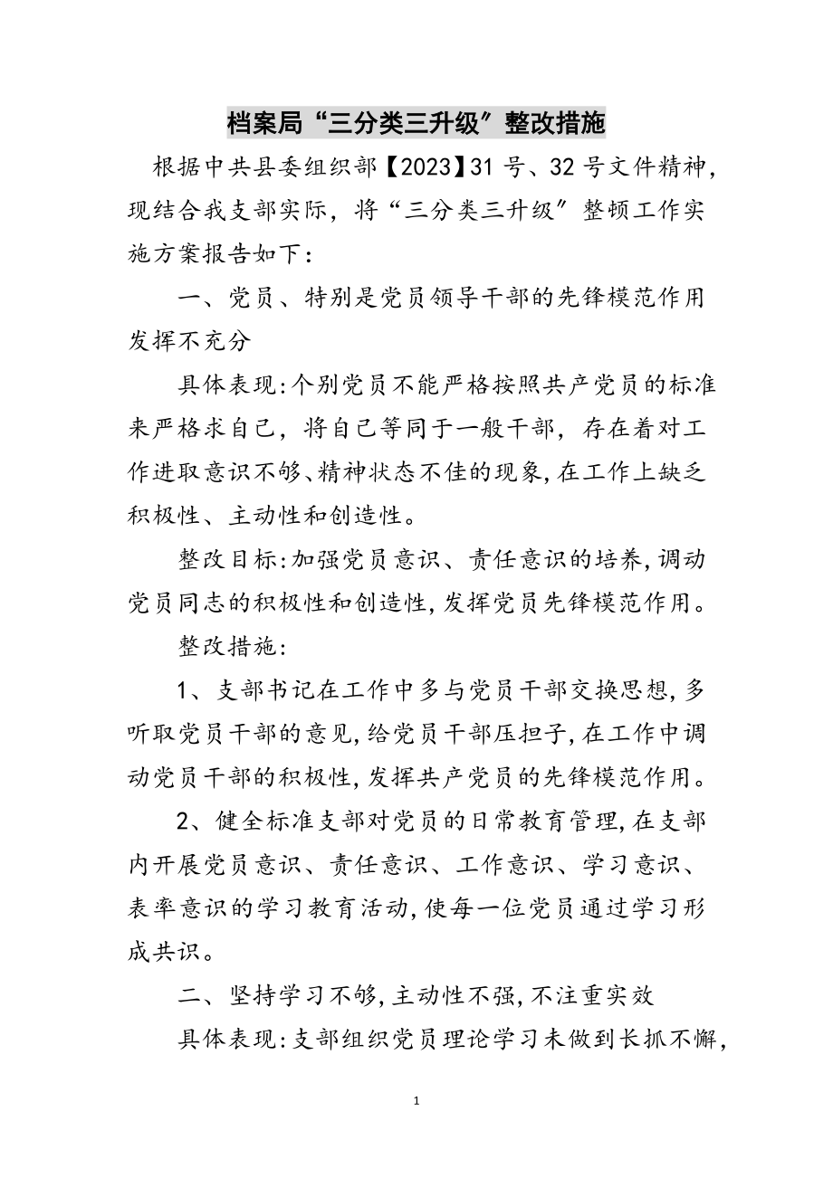 2023年档案局“三分类三升级”整改措施范文.doc_第1页