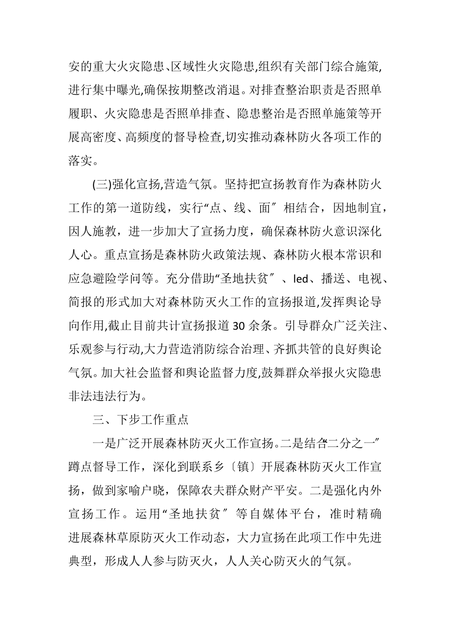 2023年森林防灭火专项整治工作总结.docx_第2页