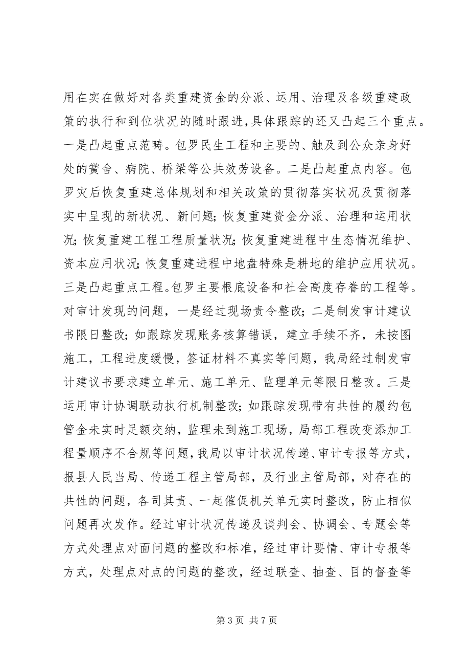 2023年审计创新实干经验交流材料.docx_第3页