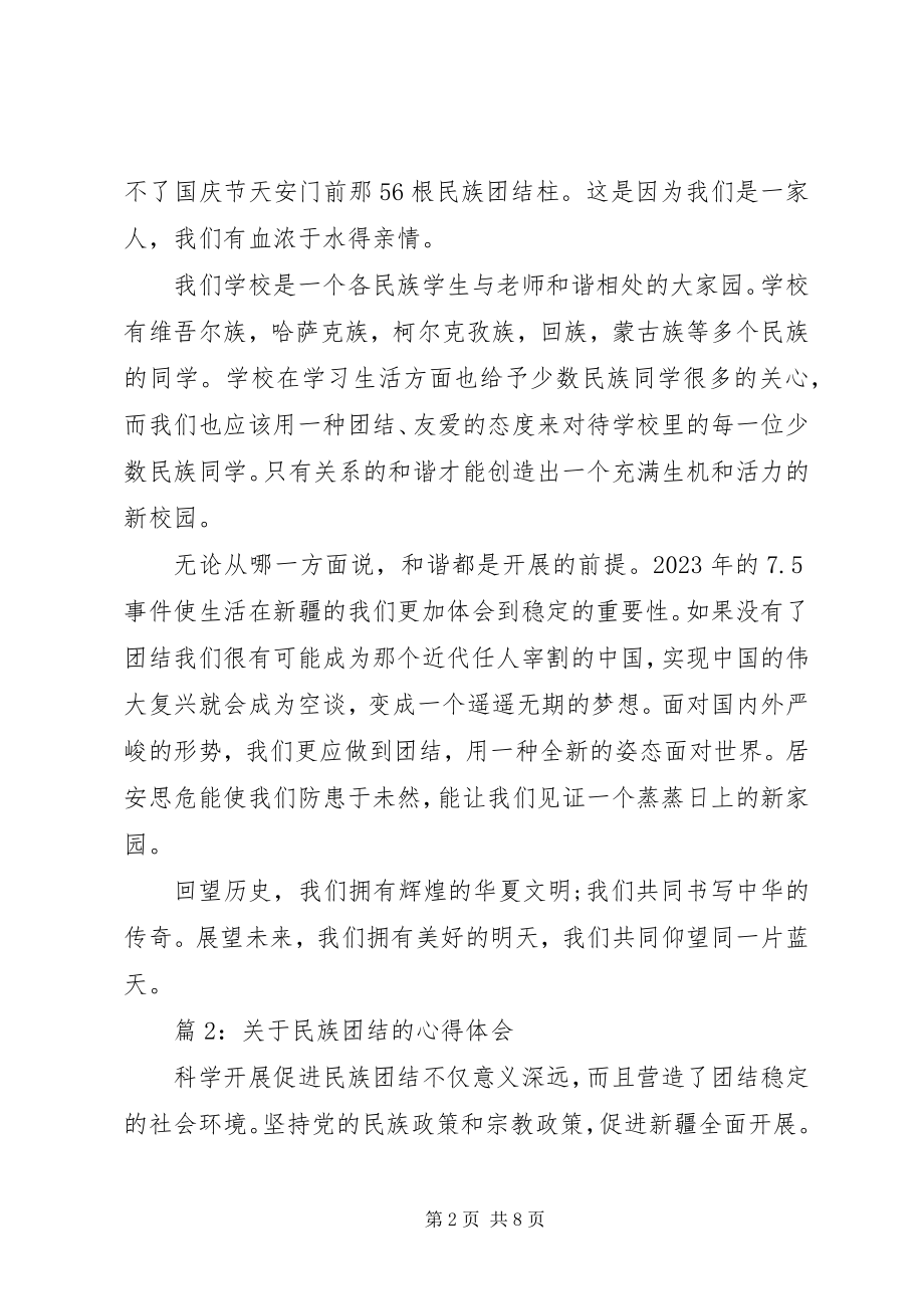 2023年民族团结的心得体会3篇.docx_第2页