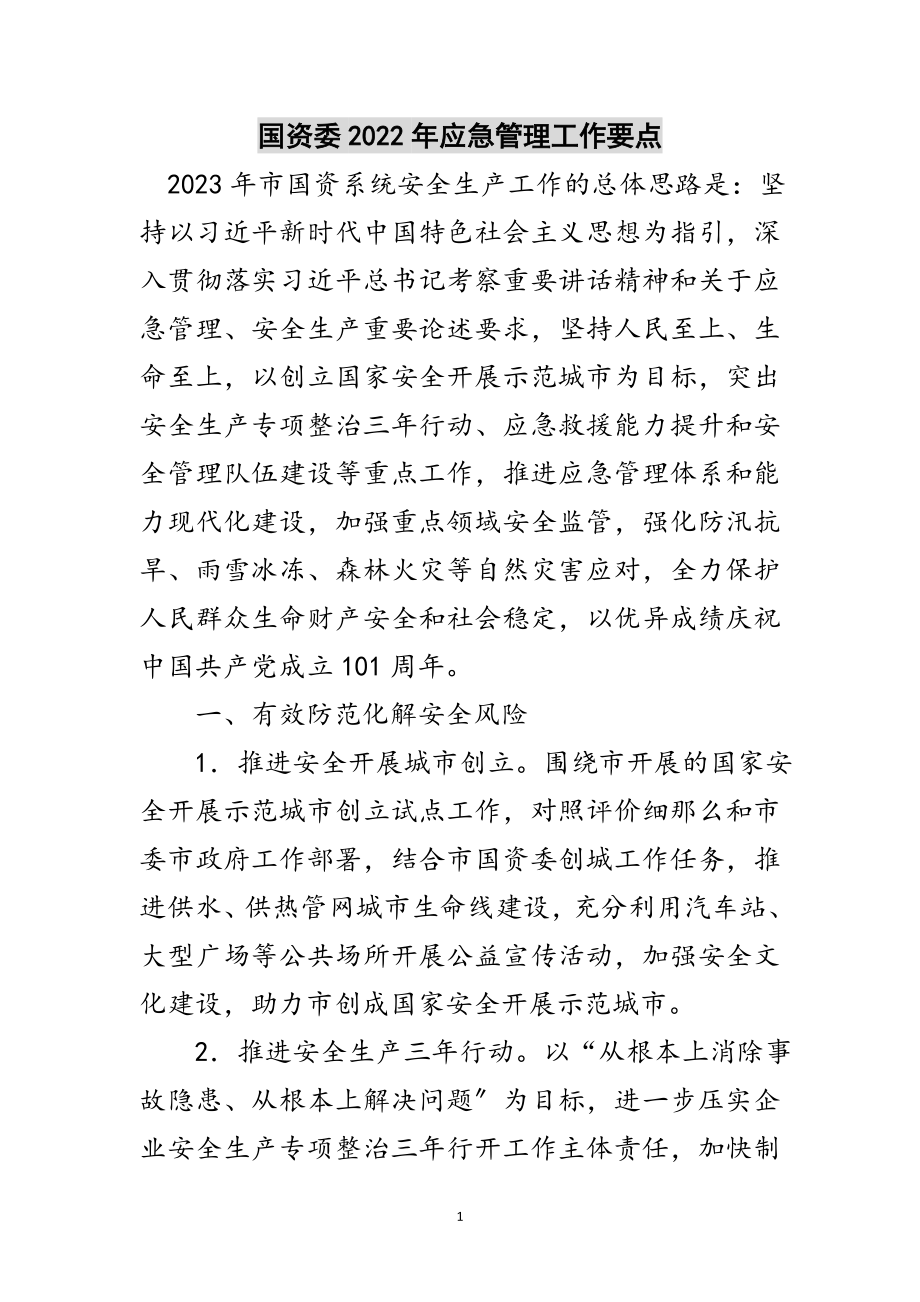 2023年国资委年应急管理工作要点范文.doc_第1页