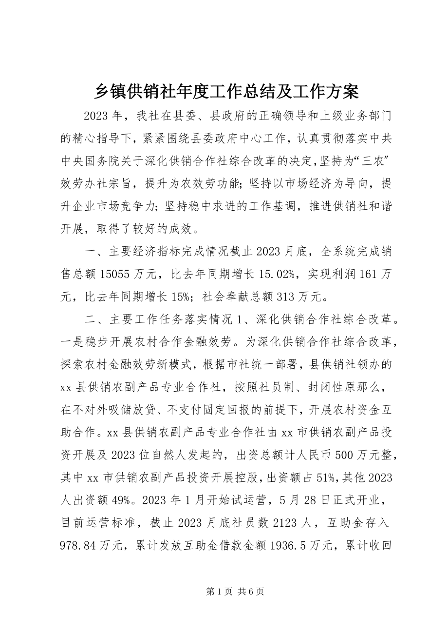 2023年乡镇供销社年度工作总结及工作计划.docx_第1页