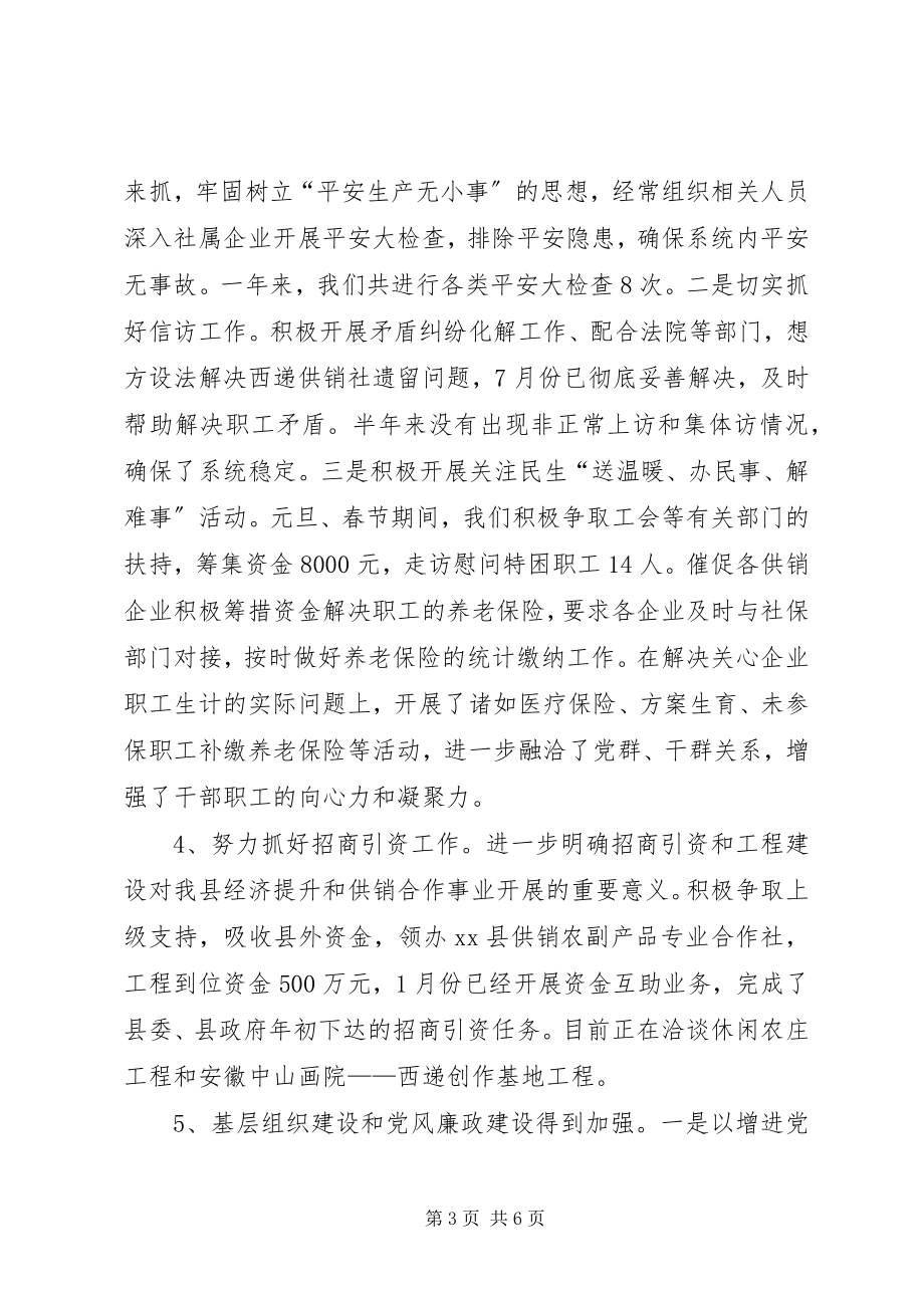 2023年乡镇供销社年度工作总结及工作计划.docx_第3页