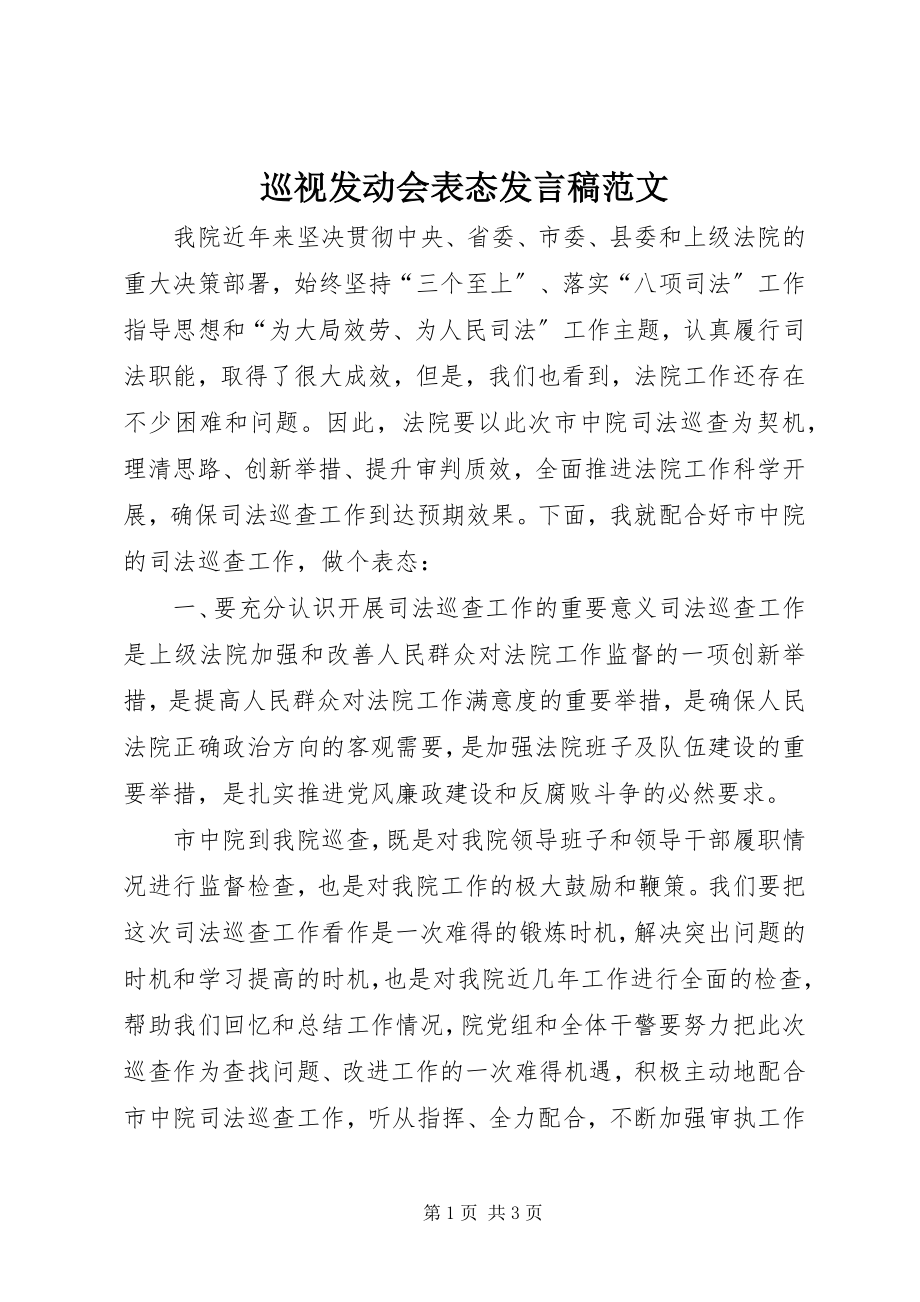 2023年巡视动员会表态讲话稿2.docx_第1页