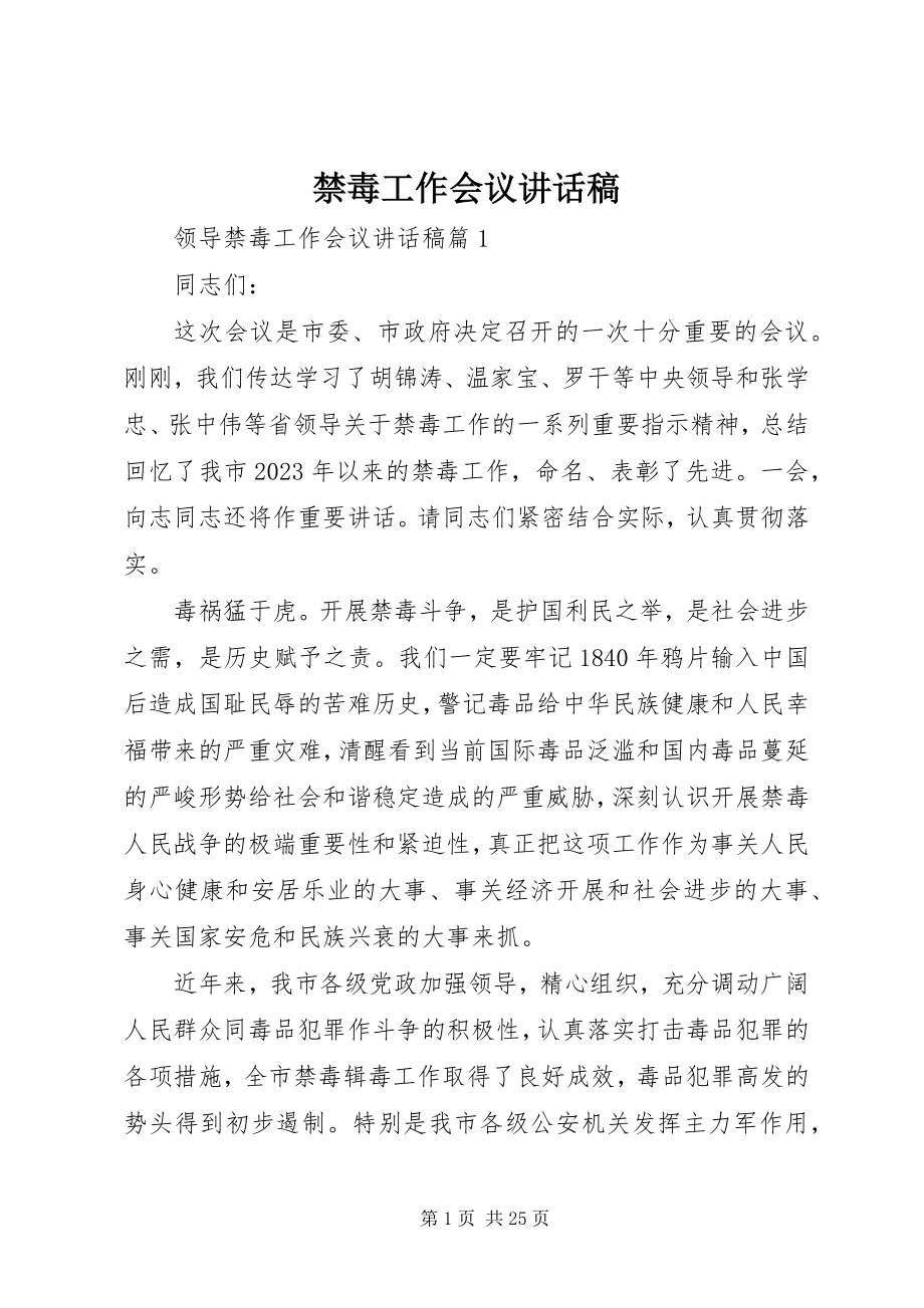 2023年禁毒工作会议致辞稿.docx_第1页