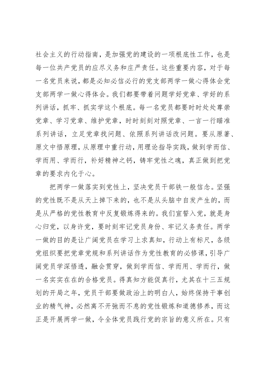 2023年党支部两学一做经验.docx_第3页