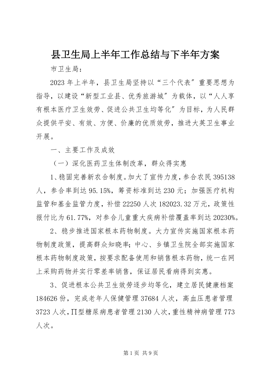 2023年县卫生局上半年工作总结与下半年计划.docx_第1页