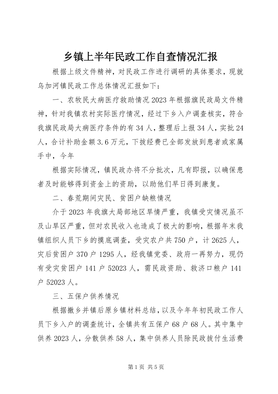 2023年乡镇上半年民政工作自查情况汇报.docx_第1页