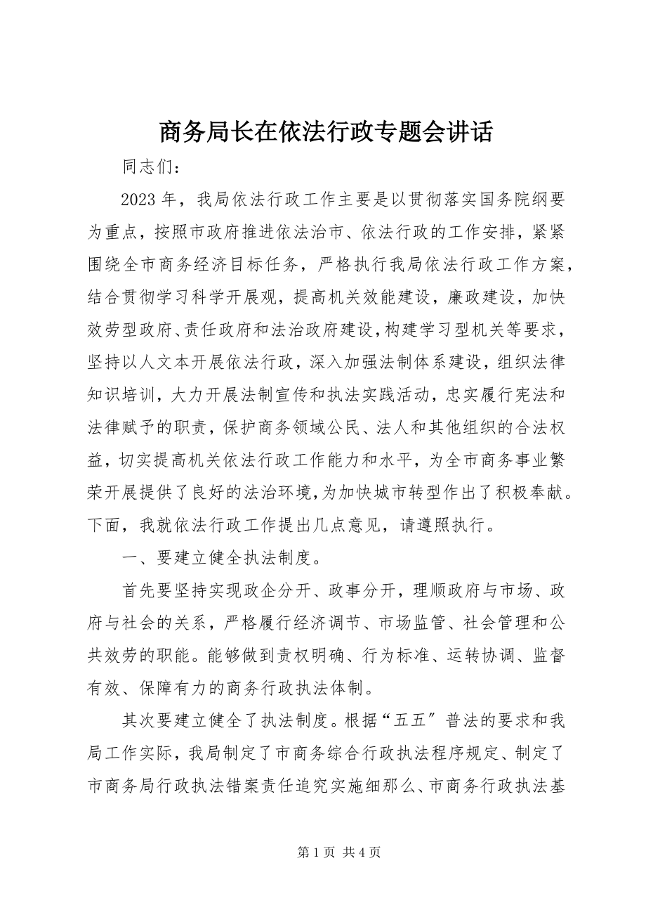 2023年商务局长在依法行政专题会致辞.docx_第1页