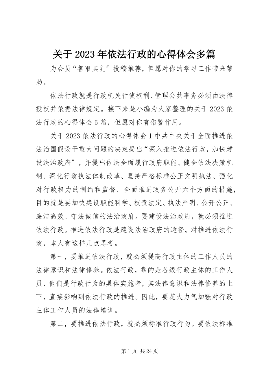 2023年依法行政的心得体会多篇.docx_第1页