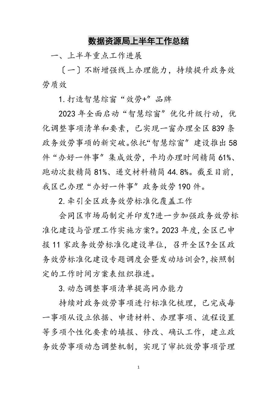 2023年数据资源局上半年工作总结范文.doc_第1页