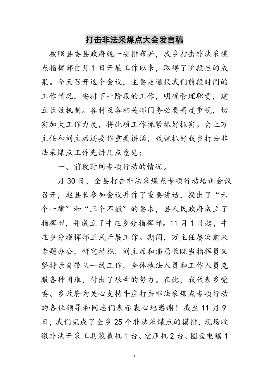 2023年打击非法采煤点大会发言稿范文.doc_第1页