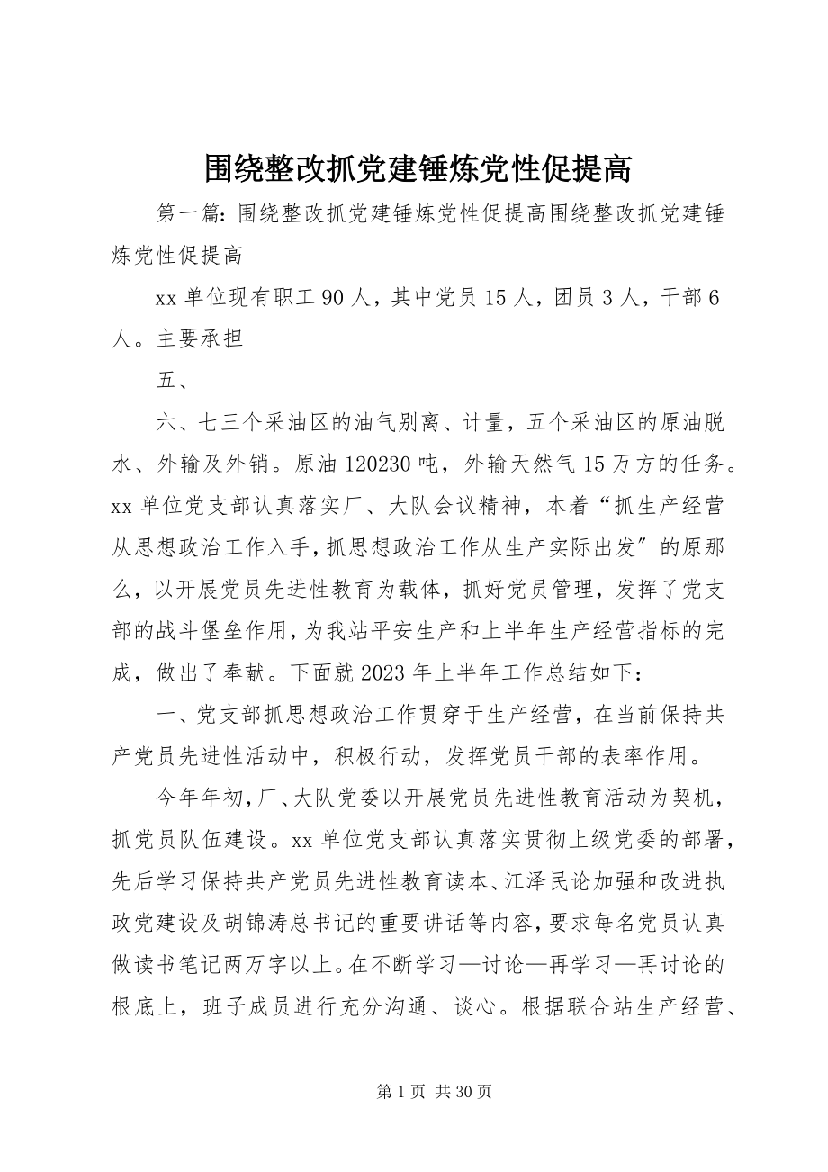 2023年围绕整改抓党建锤炼党性促提高.docx_第1页