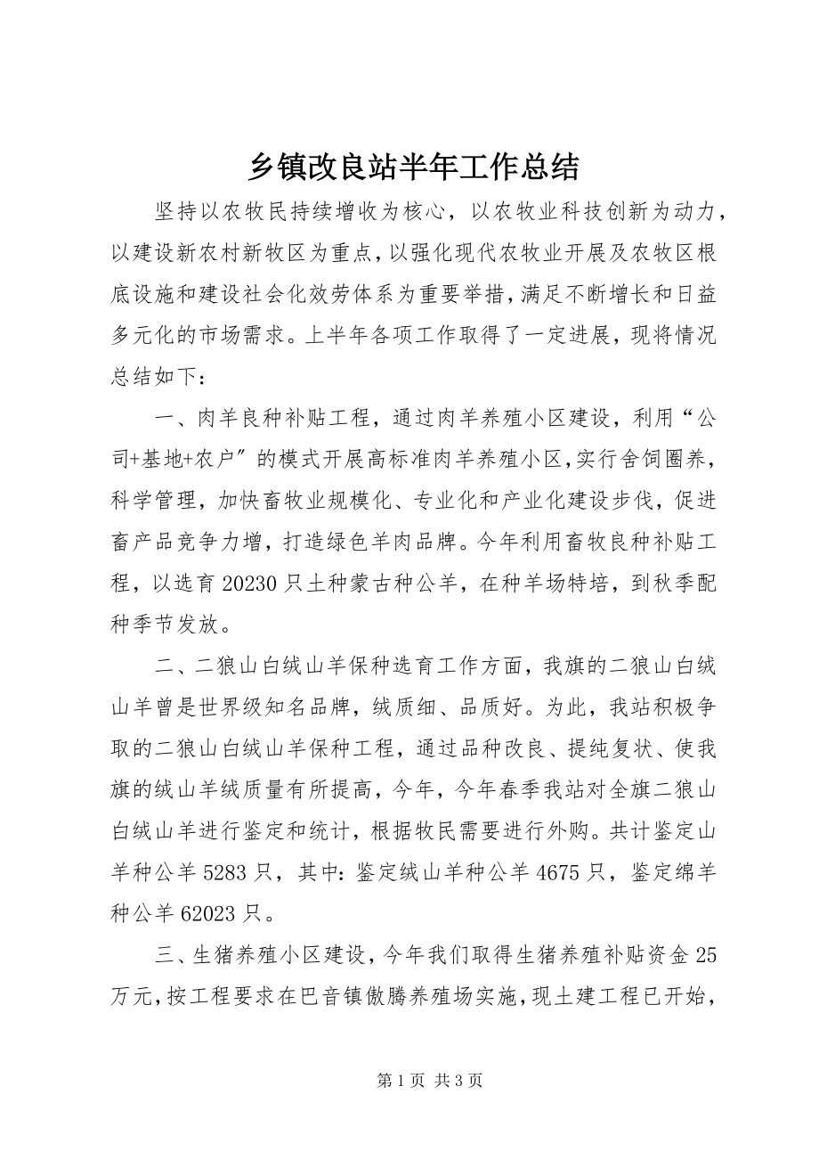 2023年乡镇改良站半年工作总结.docx_第1页