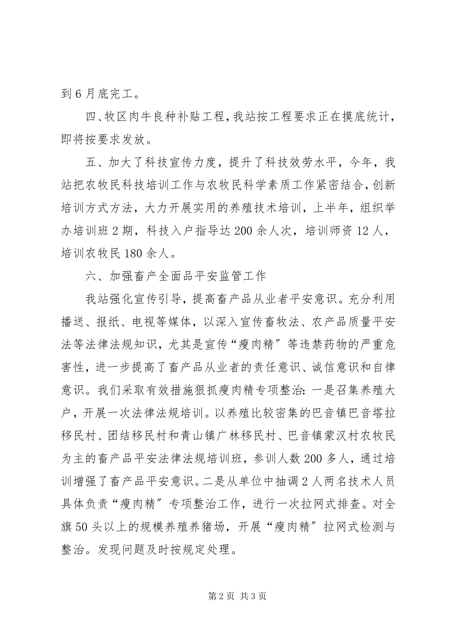 2023年乡镇改良站半年工作总结.docx_第2页