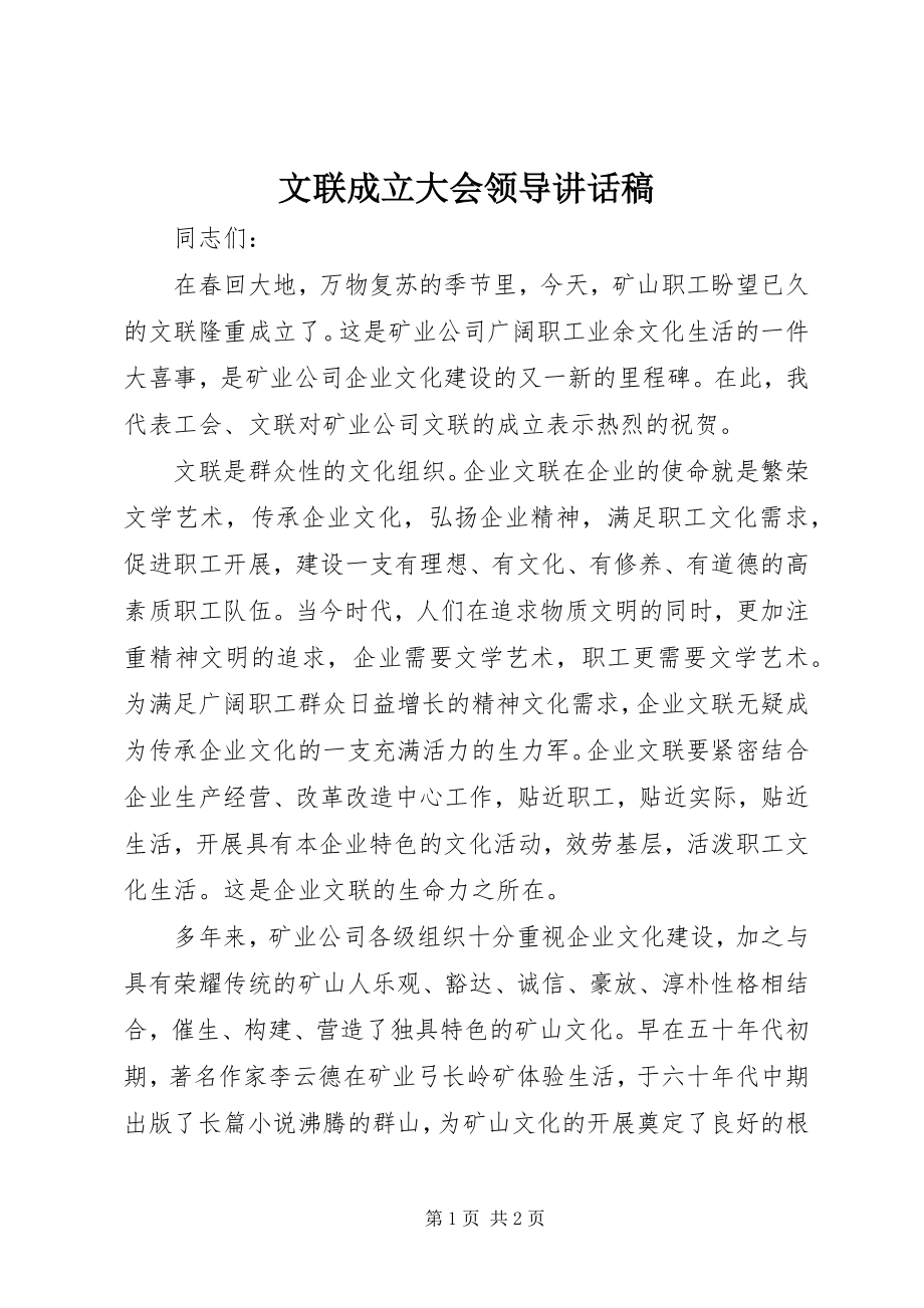 2023年文联成立大会领导致辞稿.docx_第1页