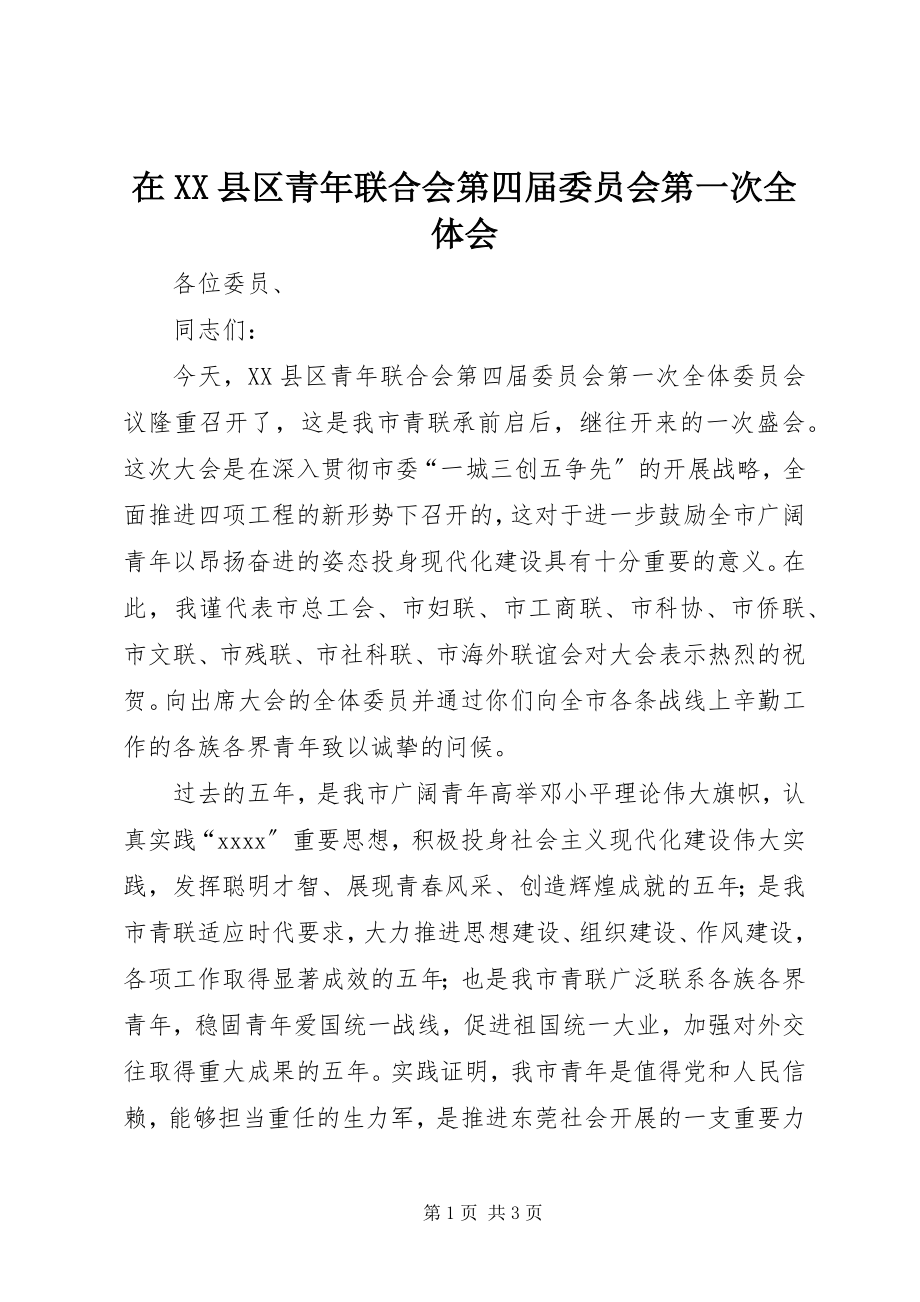 2023年在XX县区青年联合会第四届委员会第一次全体会.docx_第1页