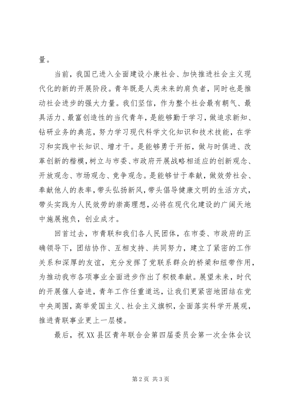 2023年在XX县区青年联合会第四届委员会第一次全体会.docx_第2页