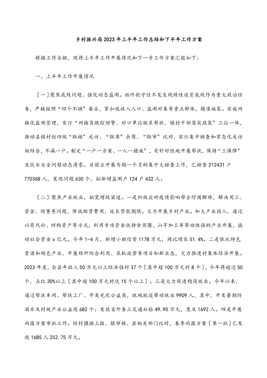 乡村振兴局上半年工作总结和下半年工作计划范文.docx_第1页