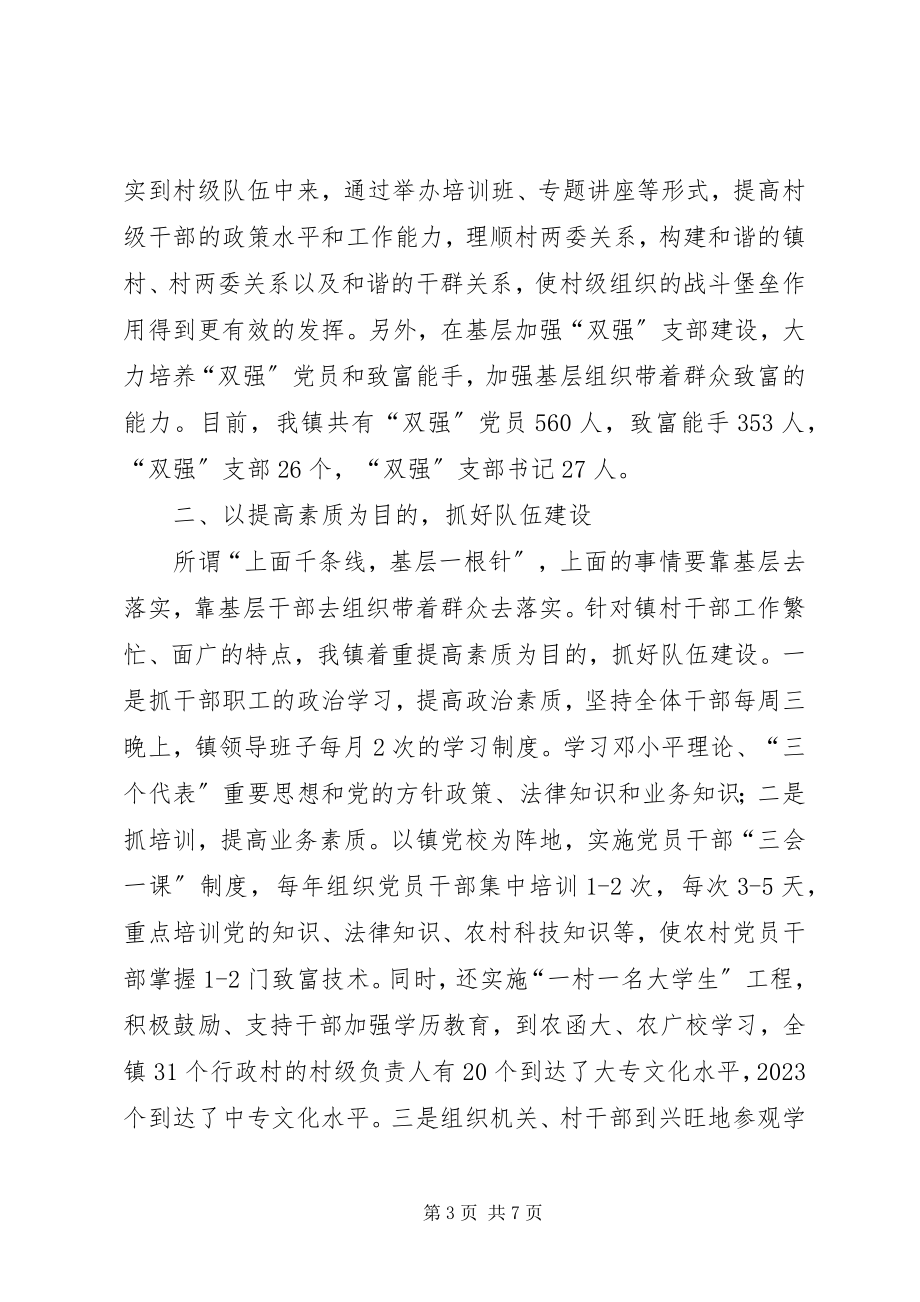 2023年市特色乡镇建设交流会议材料.docx_第3页