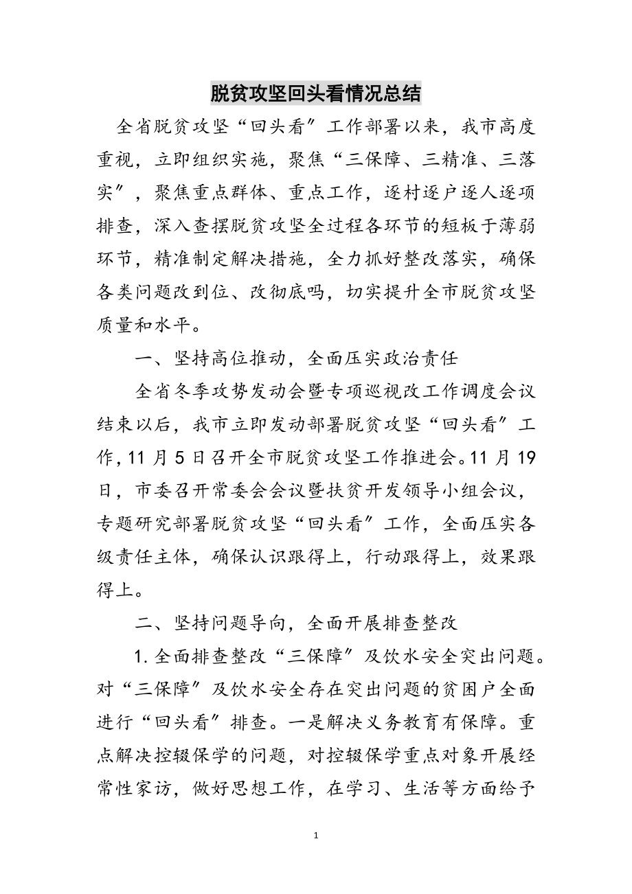 2023年脱贫攻坚回头看情况总结范文.doc_第1页