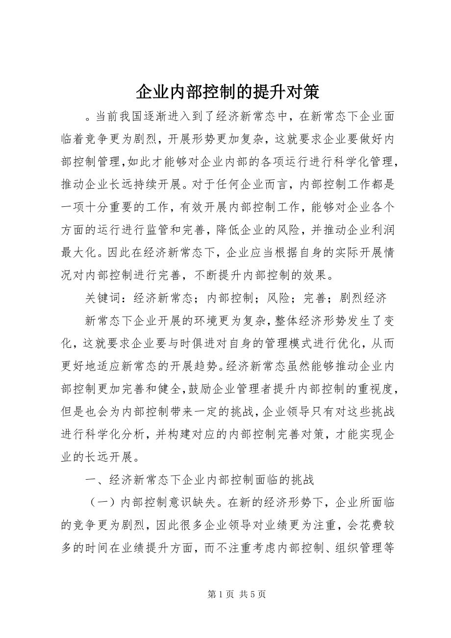 2023年企业内部控制的提升对策.docx_第1页