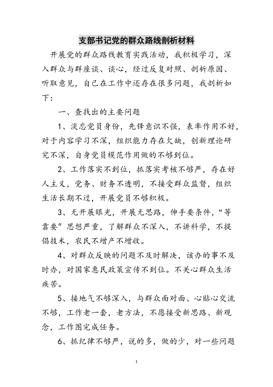 2023年支部书记党的群众路线剖析材料范文.doc_第1页