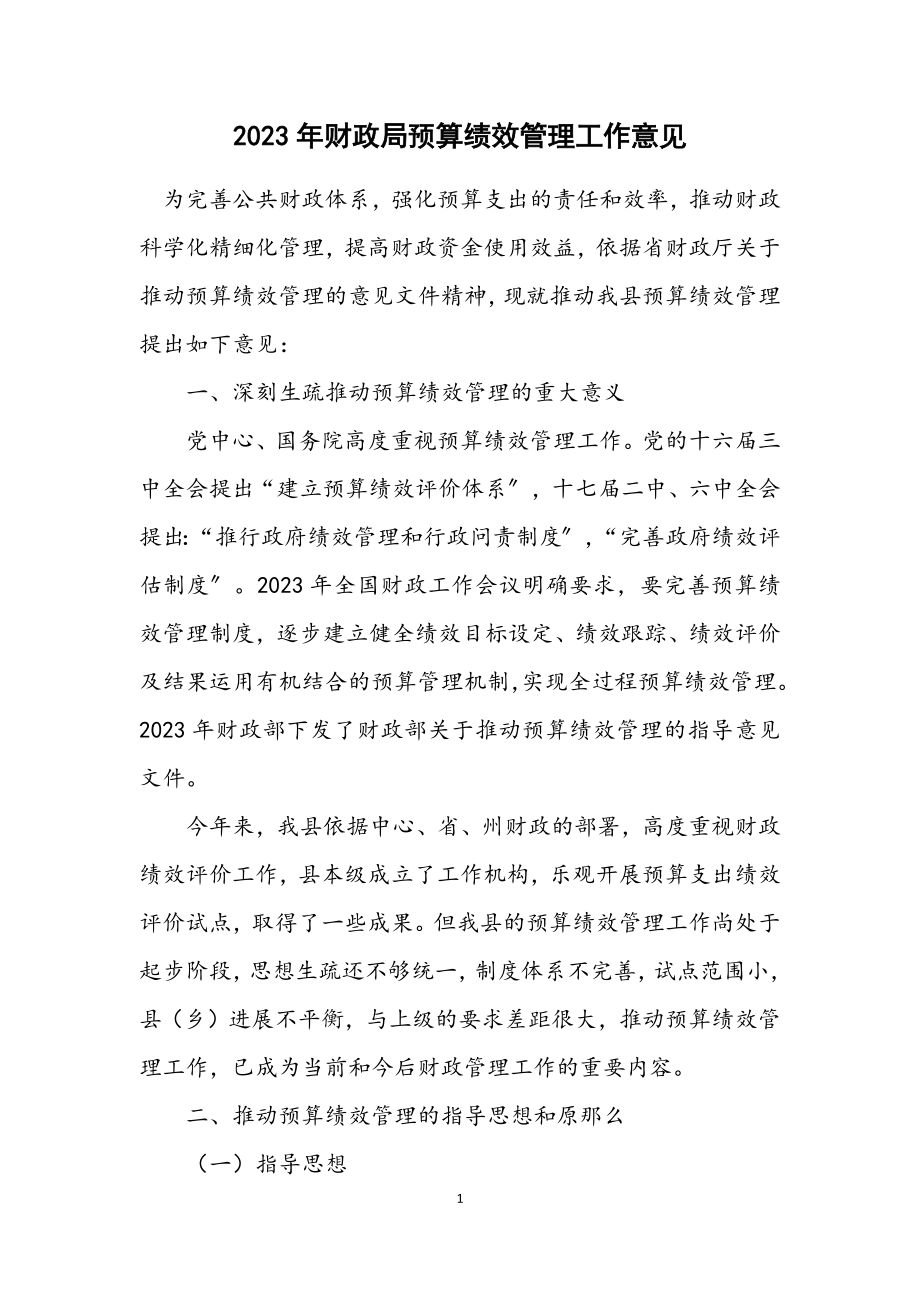 2023年财政局预算绩效管理工作意见.docx_第1页