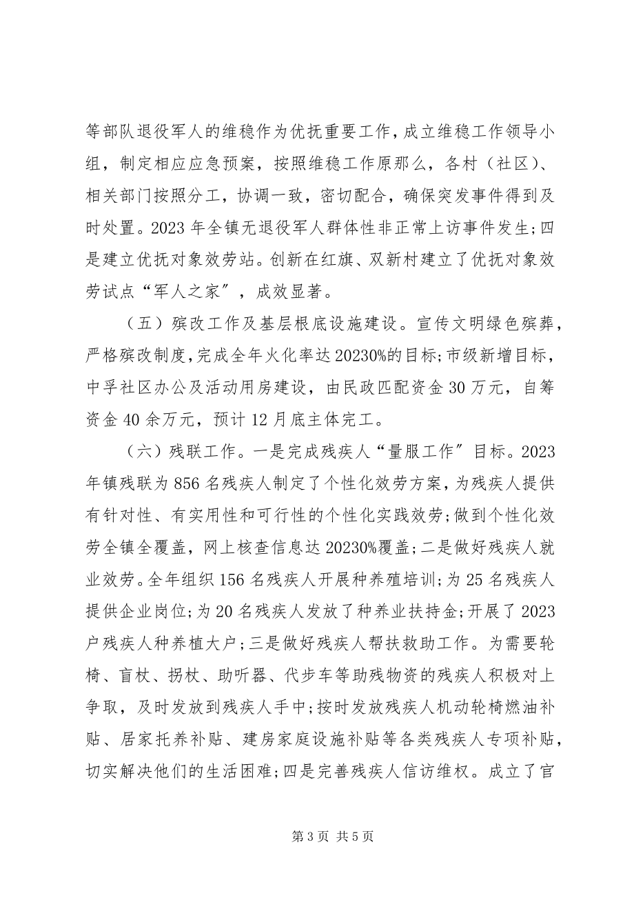 2023年民政事务办工作总结.docx_第3页