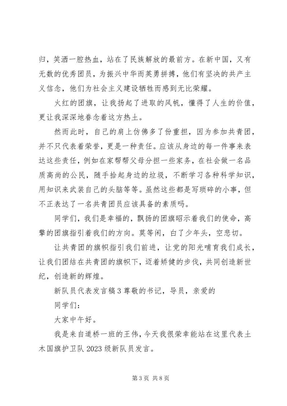 2023年新队员代表发言稿.docx_第3页