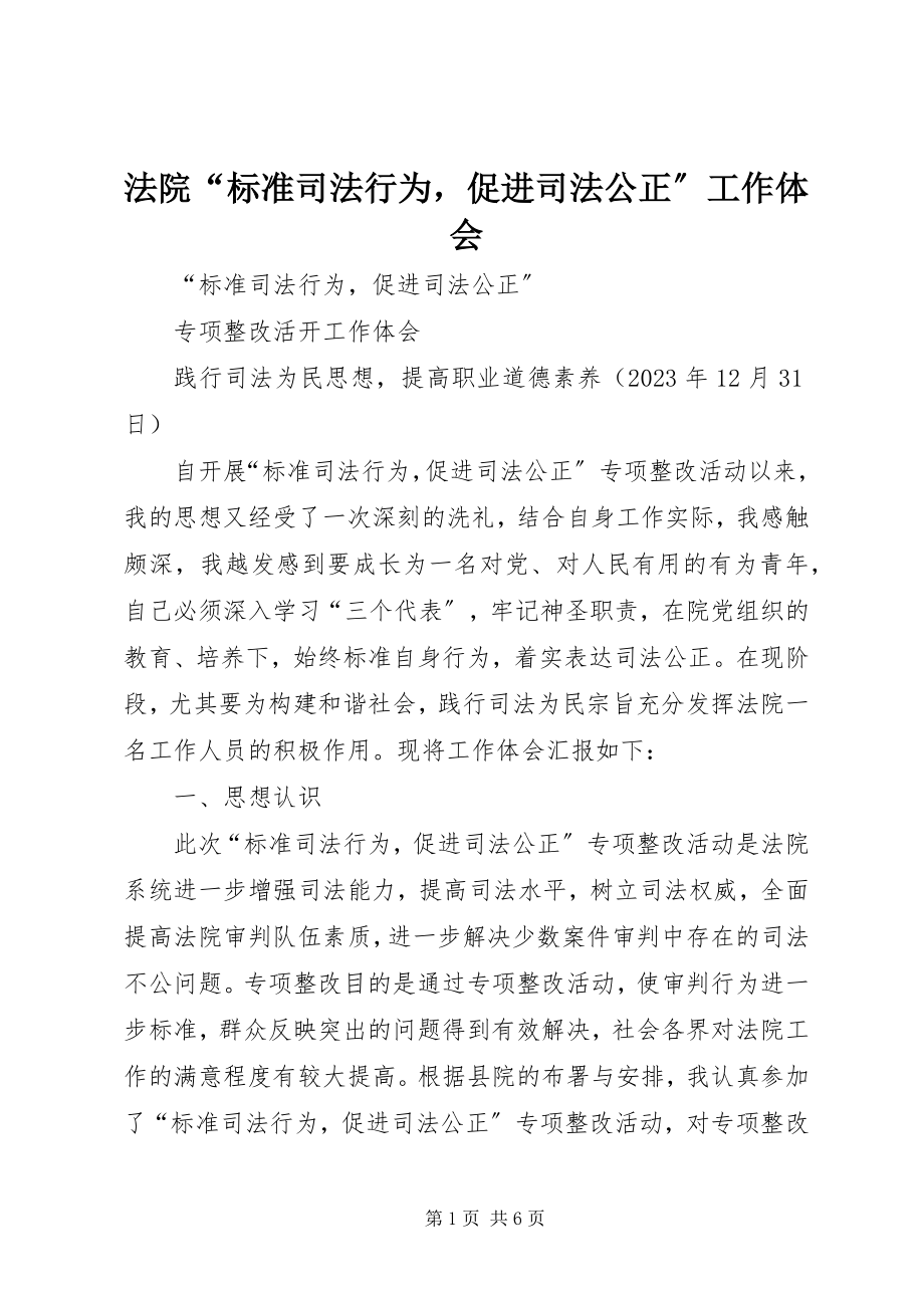 2023年法院“规范司法行为促进司法公正”工作体会.docx_第1页