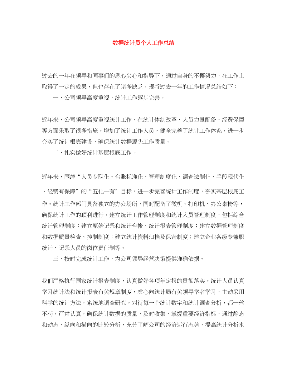 2023年数据统计员个人工作总结.docx_第1页