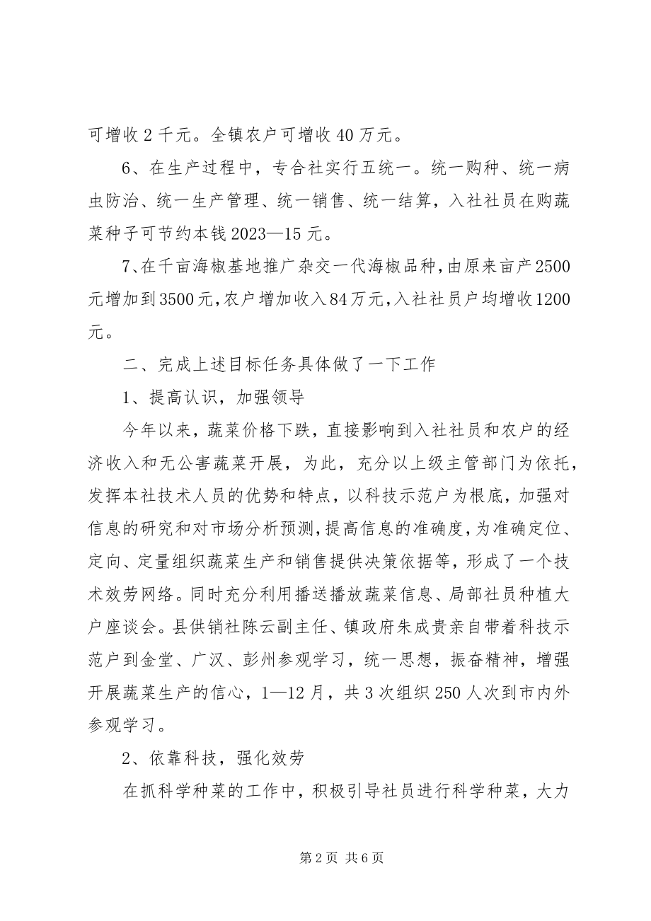 2023年乡镇蔬菜种植专业合作社工作总结.docx_第2页