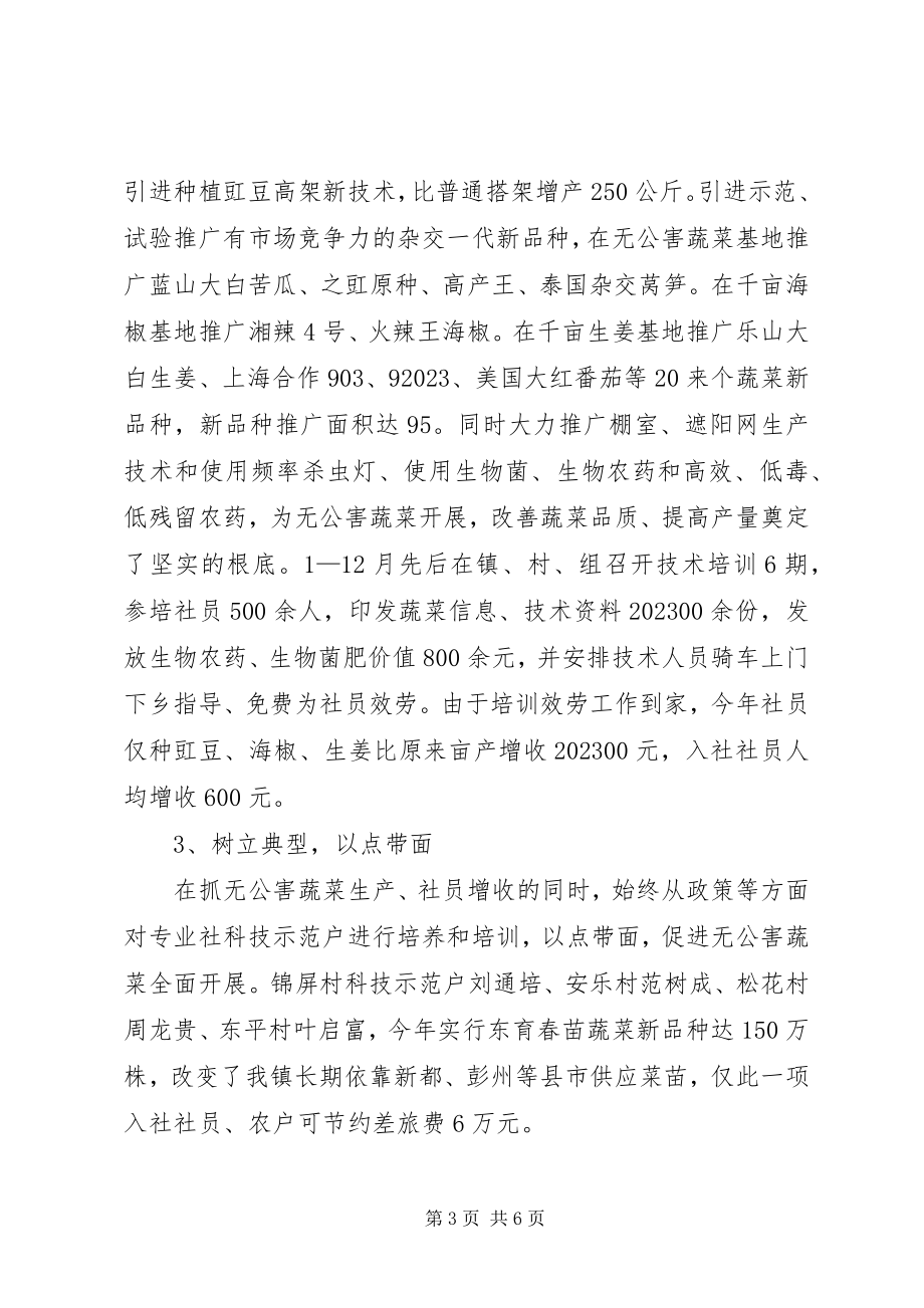 2023年乡镇蔬菜种植专业合作社工作总结.docx_第3页