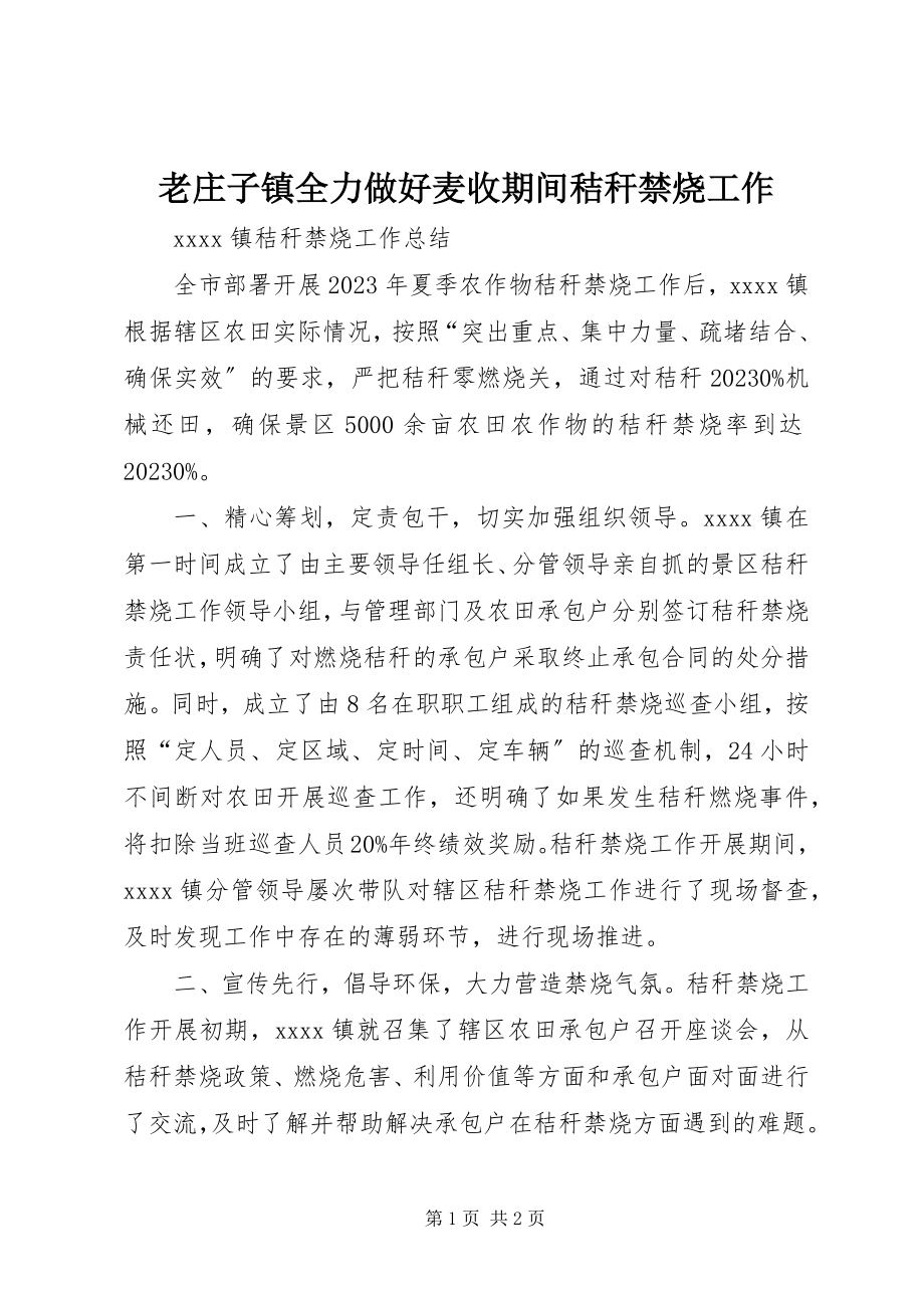 2023年老庄子镇全力做好麦收期间秸秆禁烧工作.docx_第1页