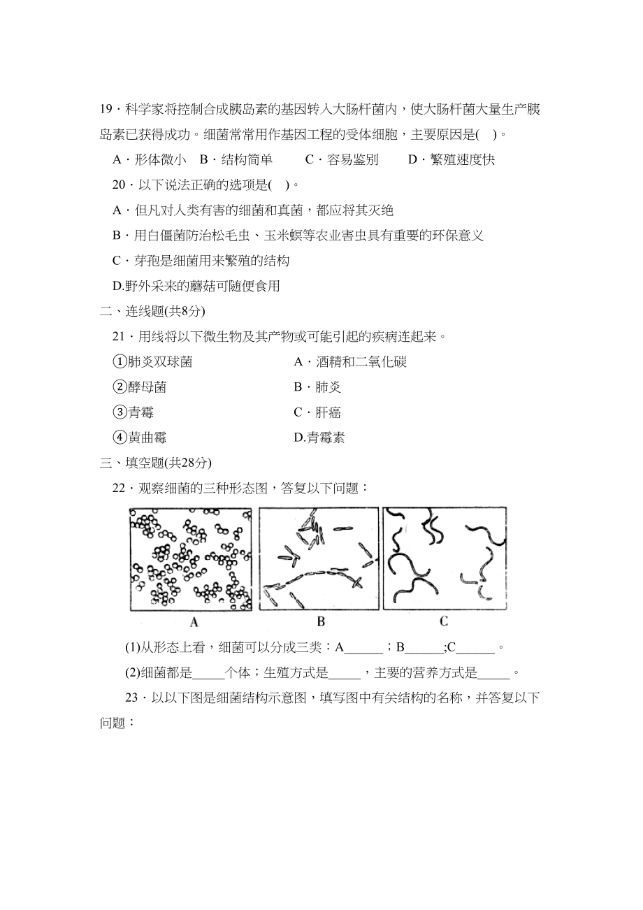 2023年人教版七年级单元达标训练第二单元第三章B初中生物.docx_第3页