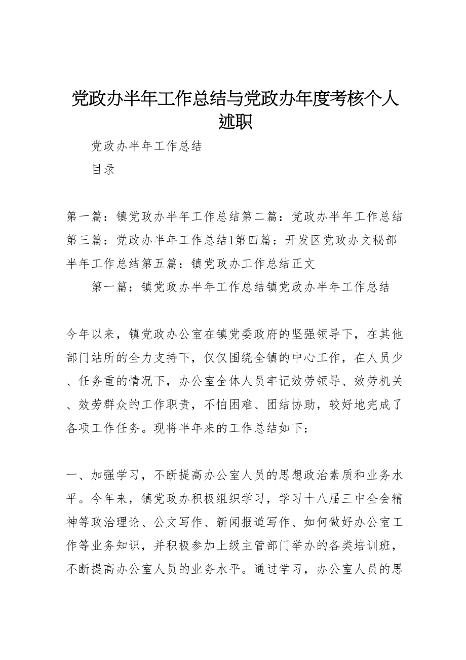 2023年党政办半年工作总结与党政办年度考核个人述职.doc_第1页