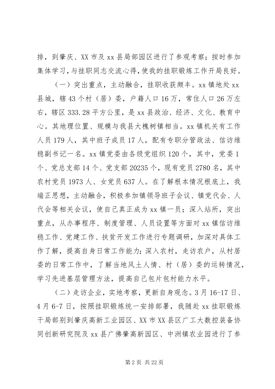 2023年外派挂职干部工作感悟七篇.docx_第2页